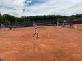IMG 6115