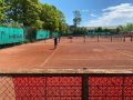 IMG 6875